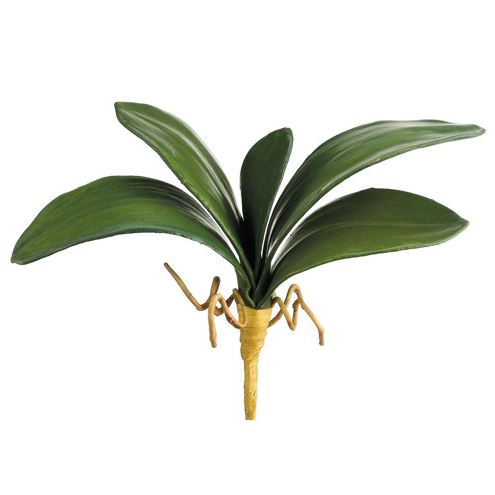 13" Phalaenopsis Leaf Spray