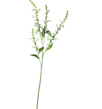Delicate Lavender Stem
