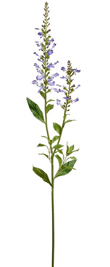 Flowering Sage Spray