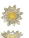 Stoneware Daisy Dish (6-Styles)