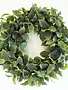 24" Salal Leaf Wreath