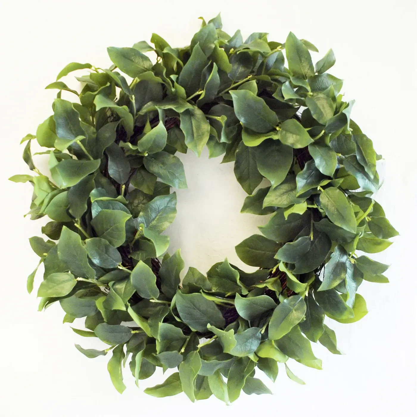 24" Salal Leaf Wreath