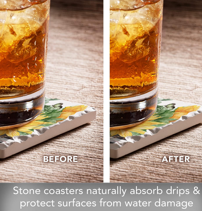 Set of 4 Thirstystone Coasters (5-Styles)