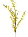 44" Natural Forsythia Spray