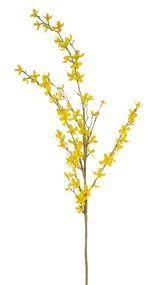 44" Natural Forsythia Spray