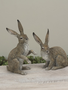 Set of 2 Jack Rabbits (2-Sizes)