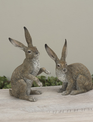 Set of 2 Jack Rabbits