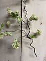 37" Snowball Twig Spray