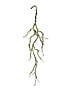 35" Natural Twig Garland