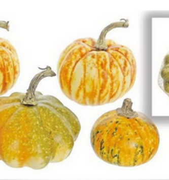 Bag of 5 Mixed Pumpkins & Gourds