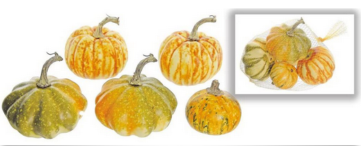 Bag of 5 Mixed Pumpkins & Gourds