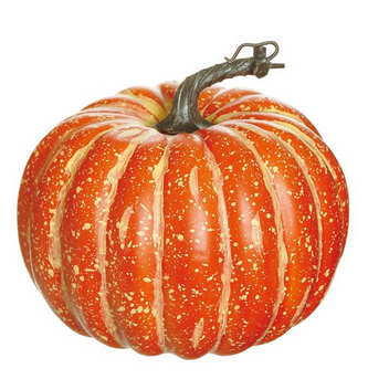 8.5" Orange Natural Pumpkin