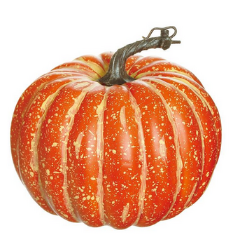 8.5" Orange Natural Pumpkin