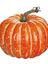 8.5" Orange Natural Pumpkin