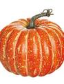 8.5" Orange Natural Pumpkin