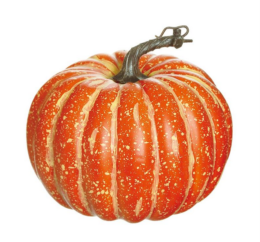 8.5" Orange Natural Pumpkin