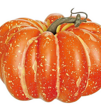 7.3" Orange Variegated Pumpkin