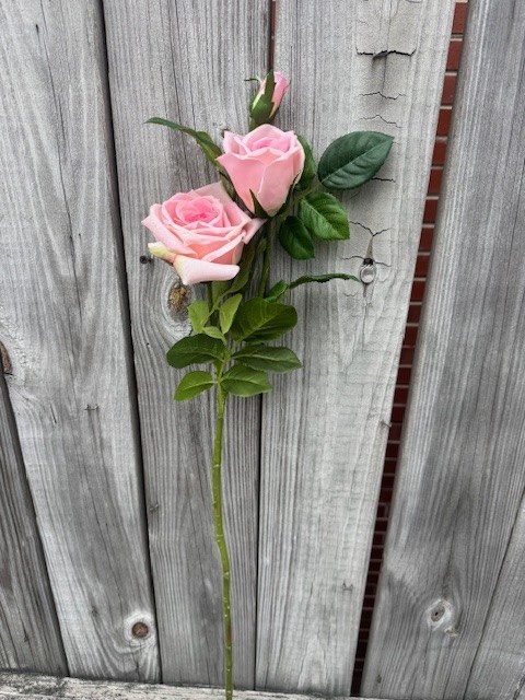 Natural Touch Luscious Garden Rose (5-Colors)