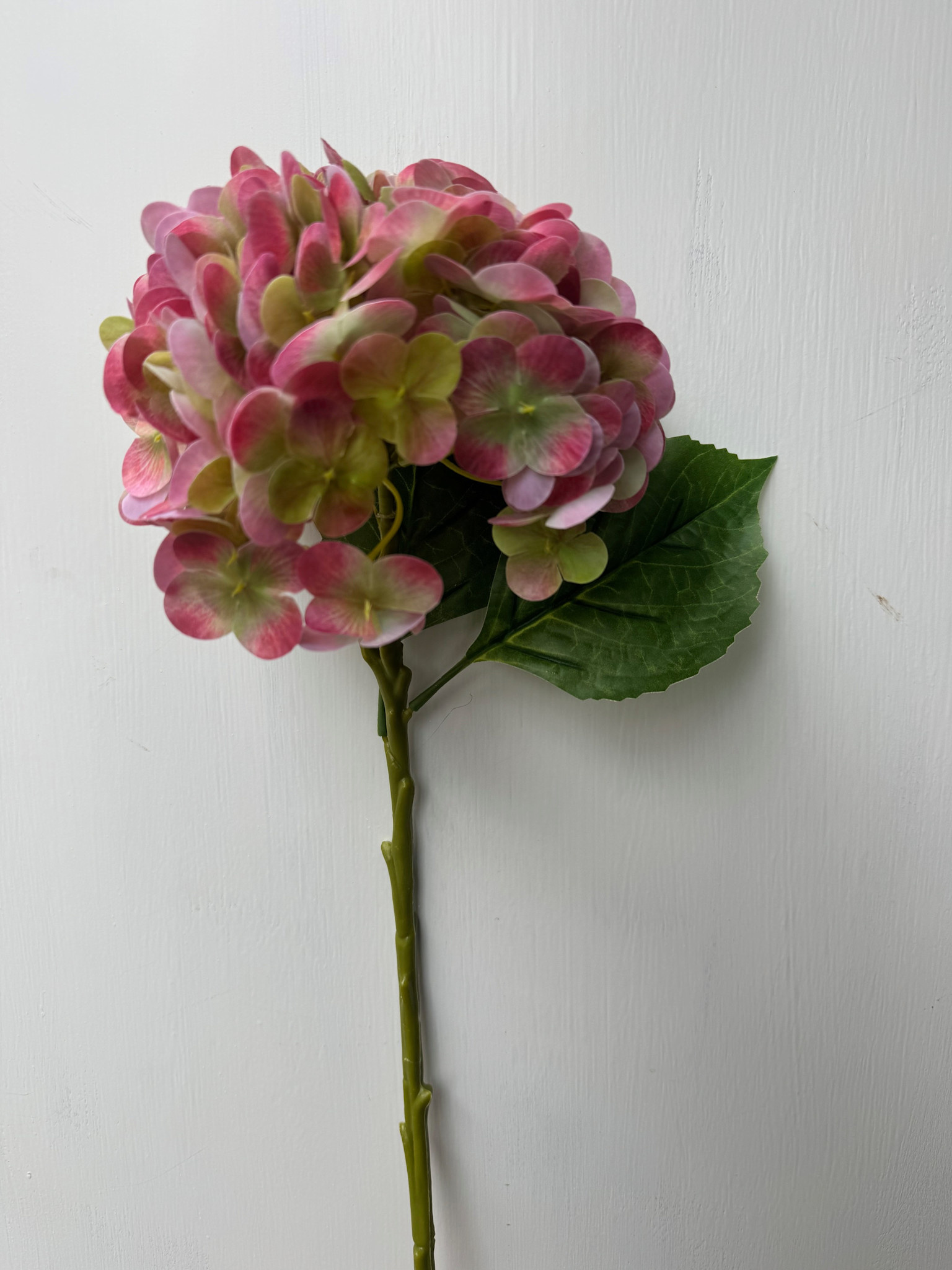 Natural Touch Vibrant Hydrangea (5-Colors)