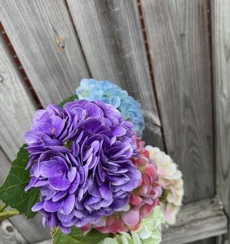Natural Touch Vibrant Hydrangea (5-Colors)