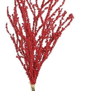 Red Twig Berry Bundle