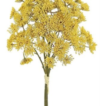 Golden Yarrow Bundle