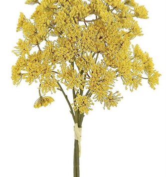 Golden Yarrow Bundle