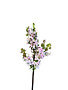 15.5" Garden Lilac Stem