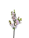 15.5" Garden Lilac Stem