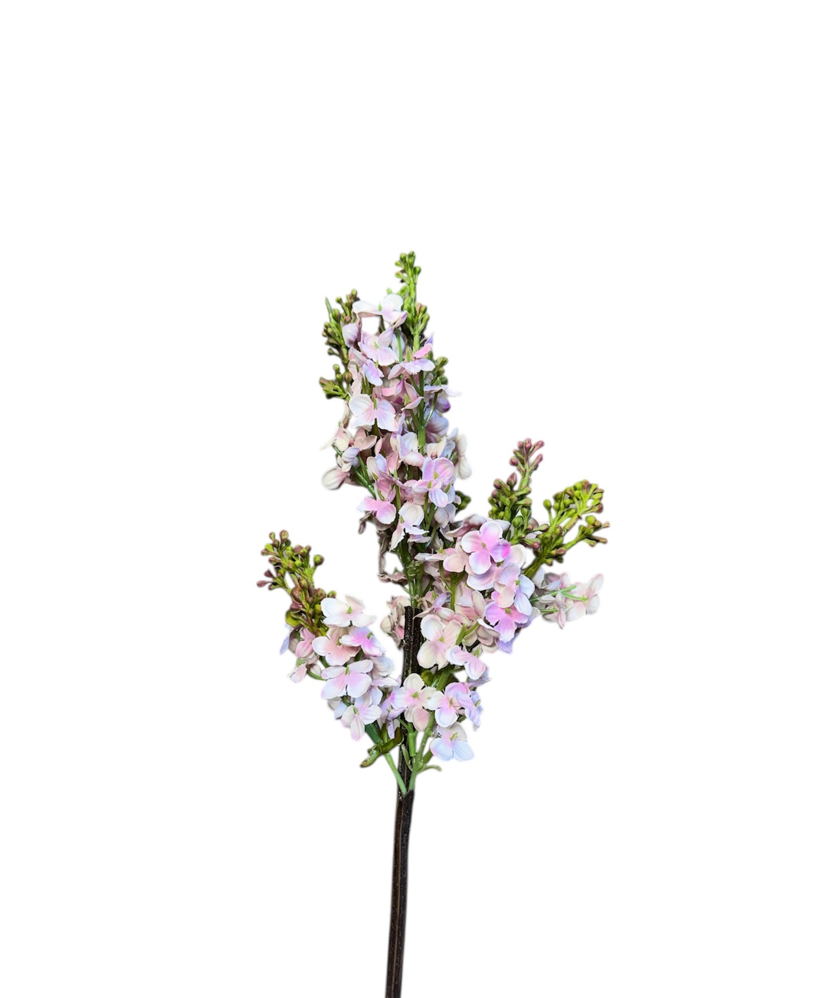 15.5" Garden Lilac Stem