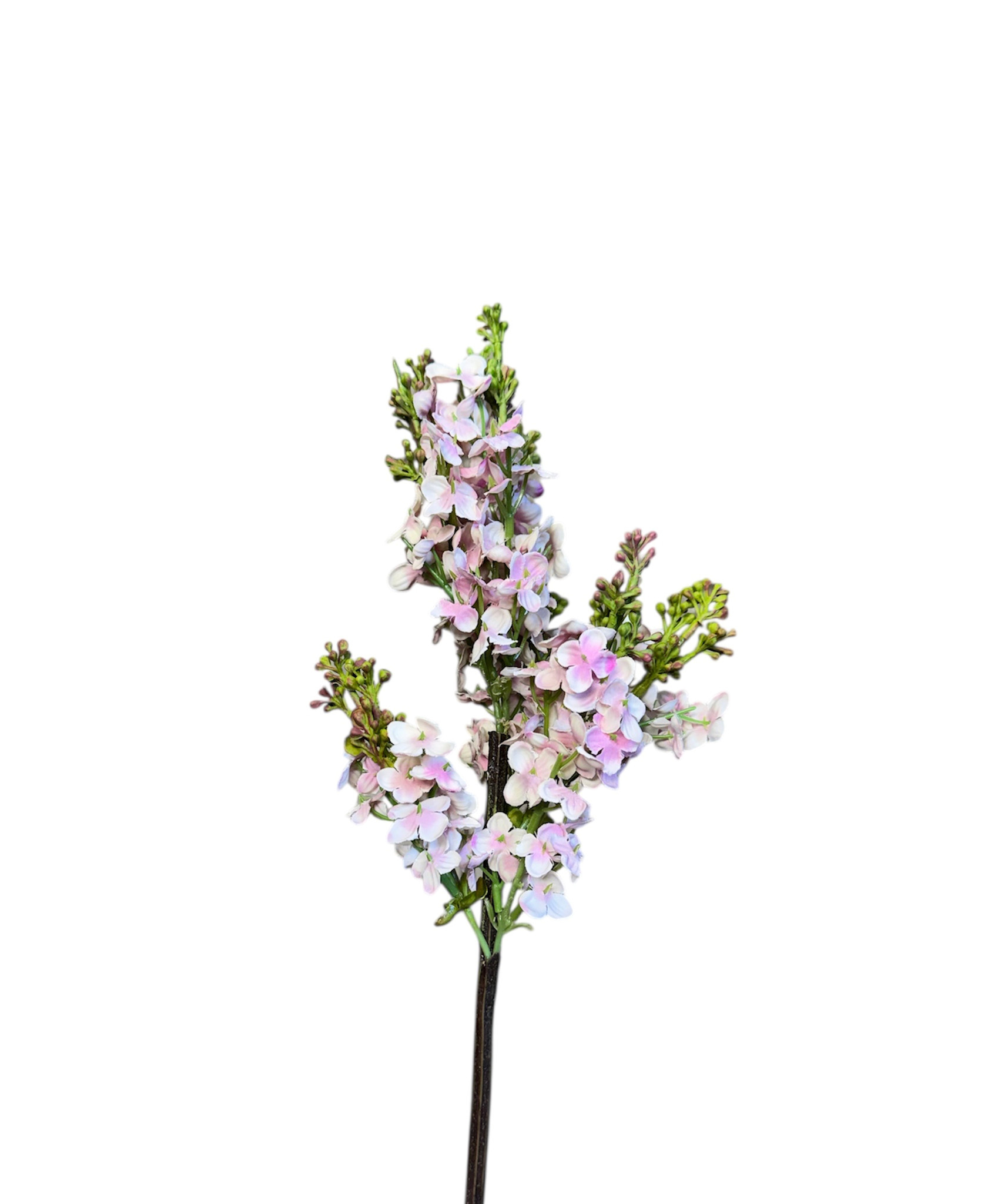 15.5" Garden Lilac Stem