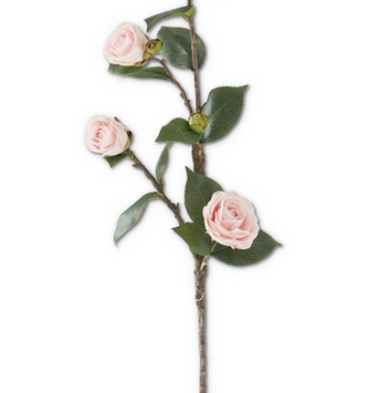 30" Pink Camellia Stem