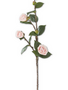 30" Pink Camellia Stem