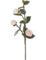30" Pink Camellia Stem