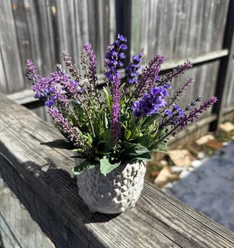 Custom Mixed Lavender in Vine Planter Arrangement