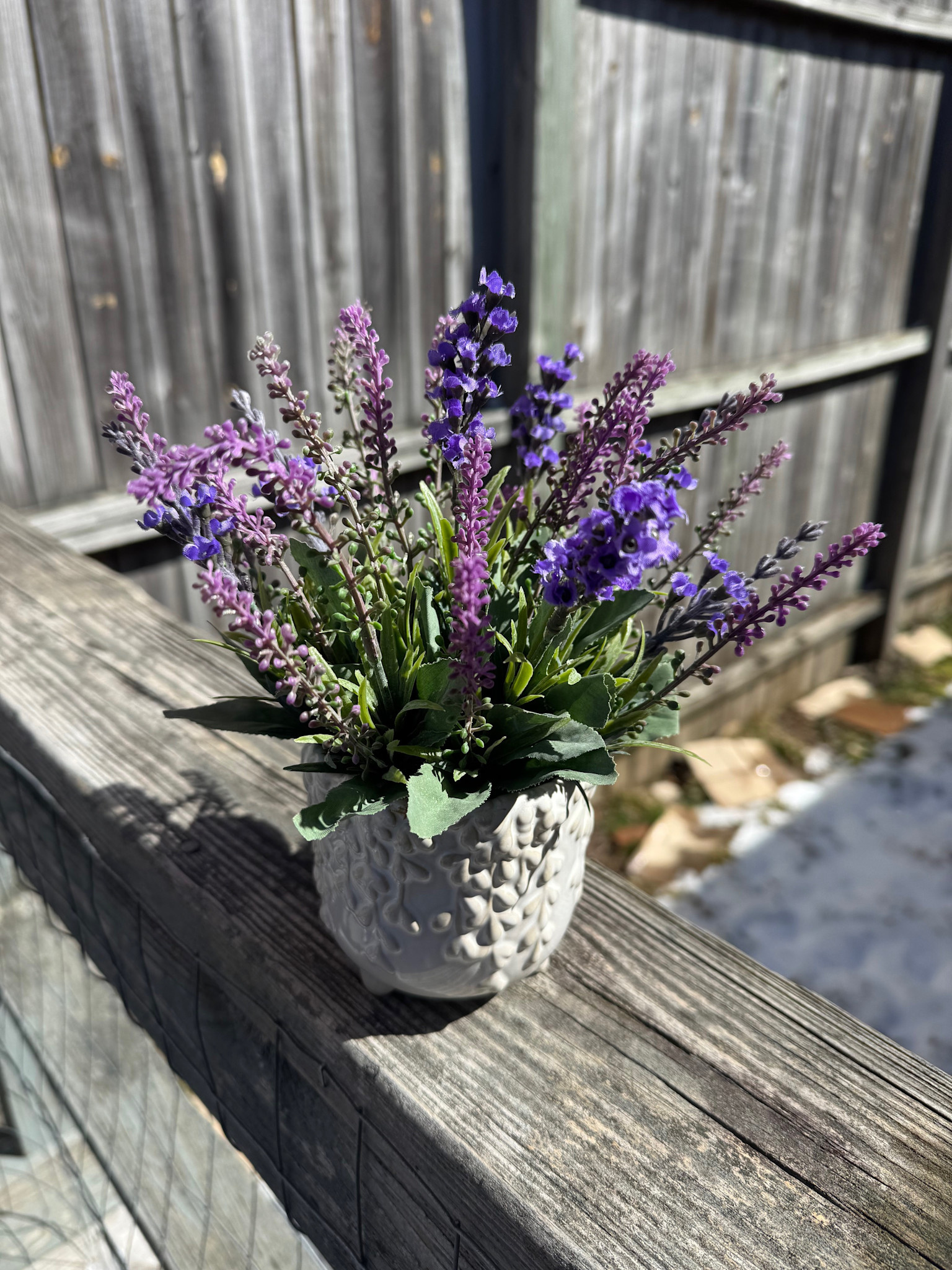 Custom Mixed Lavender in Vine Planter Arrangement