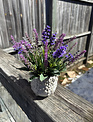 Custom Mixed Lavender in Vine Planter Arrangement