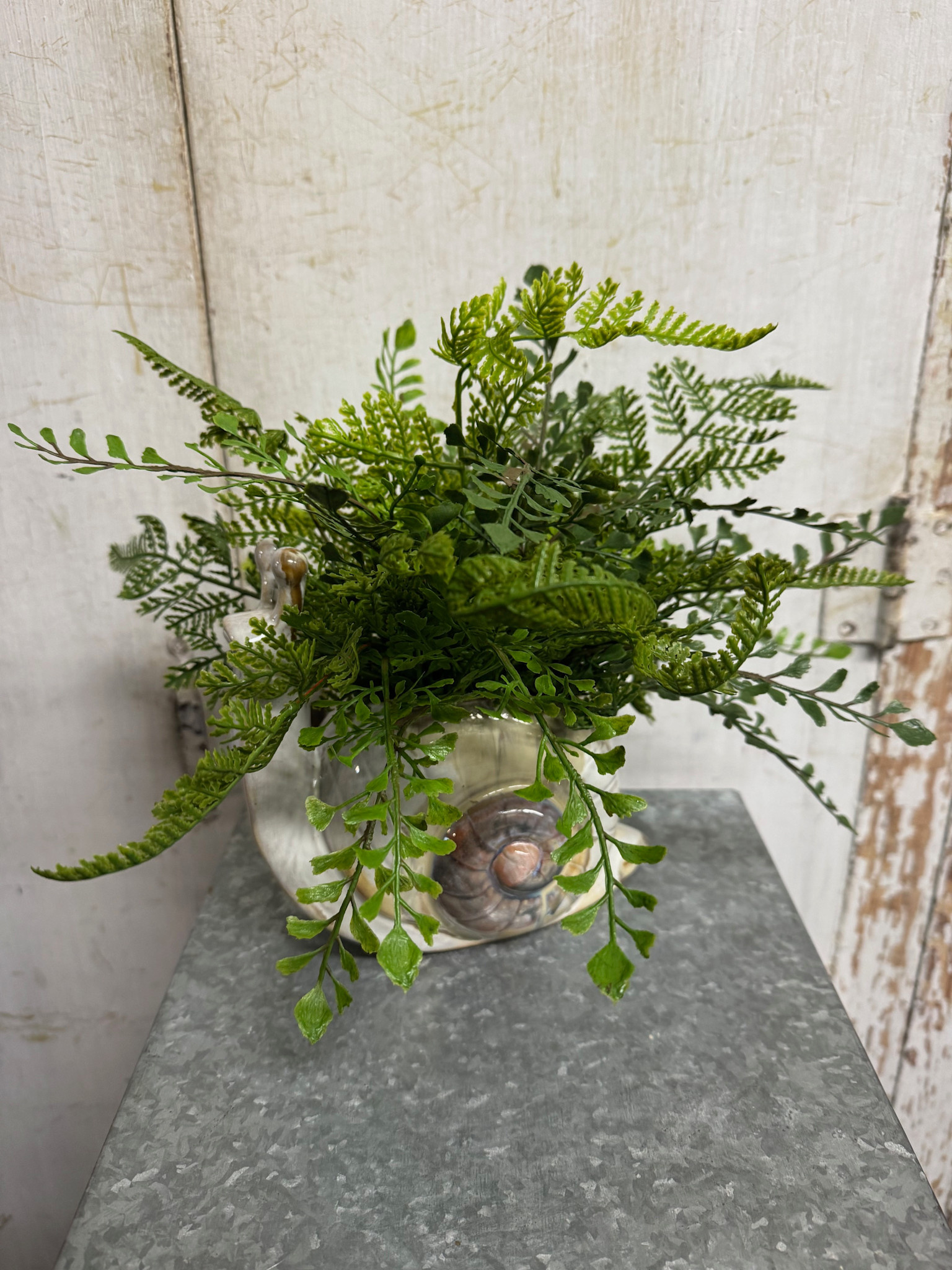 Custom Fern in Snail Vase