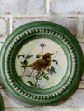 Dotted Round Vintage Bird Print (2-Styles)
