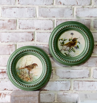 Dotted Round Vintage Bird Print (2-Styles)