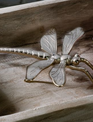 Golden Metal Dragonfly