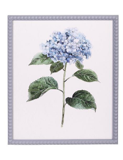 Blue Hydrangea Cottage Framed Print