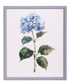 Blue Hydrangea Cottage Framed Print