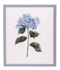 Blue Hydrangea Cottage Framed Print