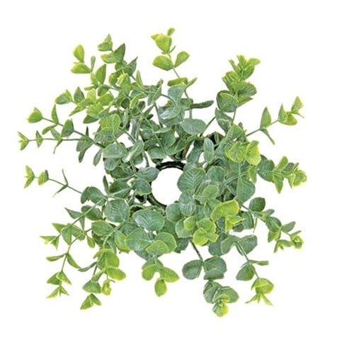 Baby Eucalyptus Candle Ring