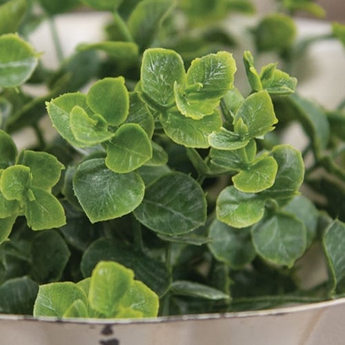 Baby Eucalyptus Candle Ring