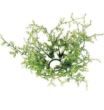 Whispy Grass Taper Candle Ring