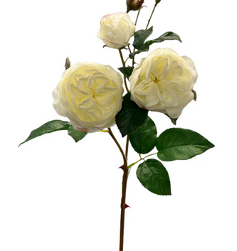 Natural Touch Cabbage Rose (3-Colors)