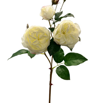 Natural Touch Cabbage Rose (3-Colors)