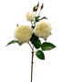Natural Touch Cabbage Rose (3-Colors)